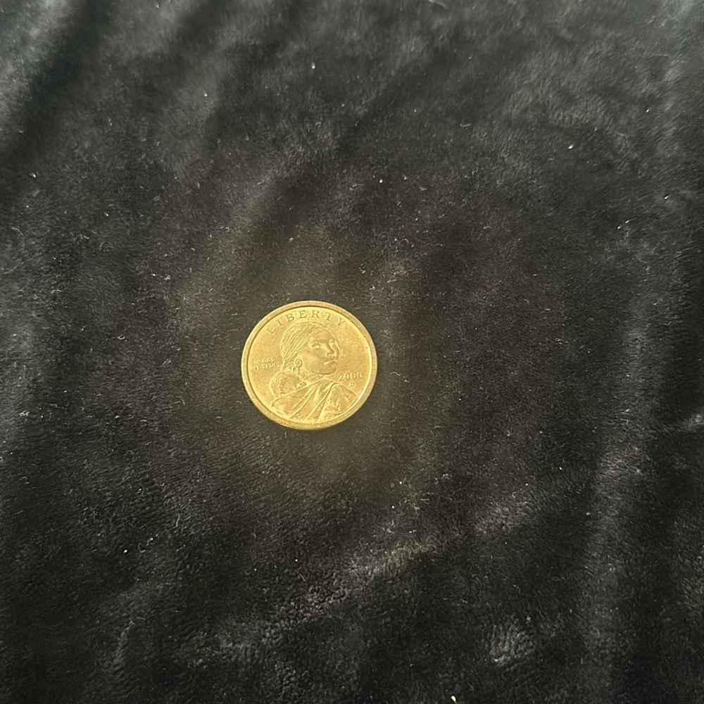 A rare one dollar coin very old